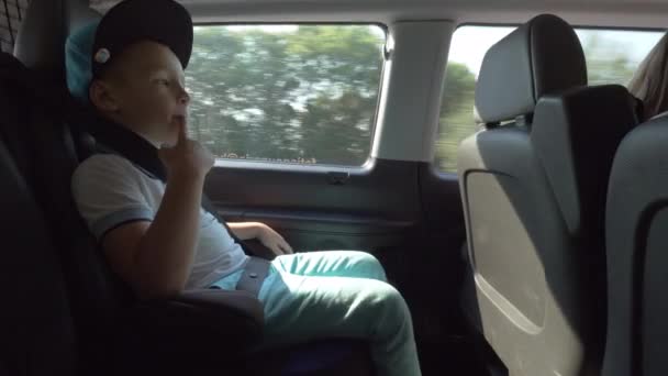 Enfant attaché avec ceinture de sécurité voyage voiture baie — Video