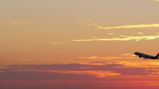 Flying airplane in the evening sky — Stock Video