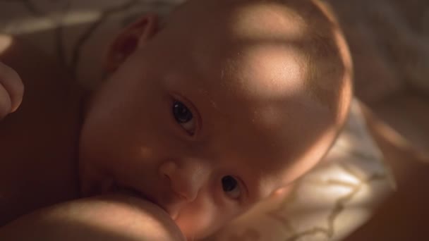 Bebê de enfermagem de três meses — Vídeo de Stock