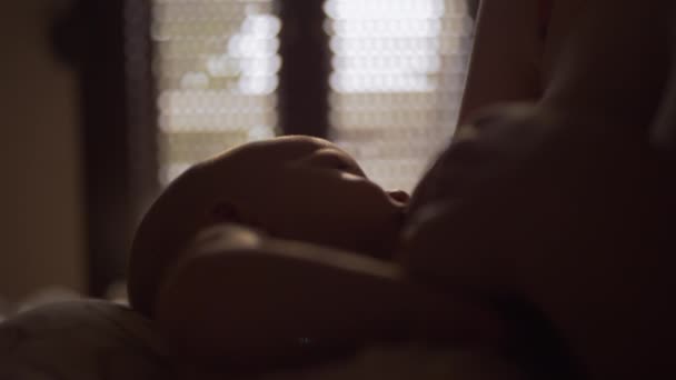 Mãe amamentando bebê filha antes de dormir — Vídeo de Stock