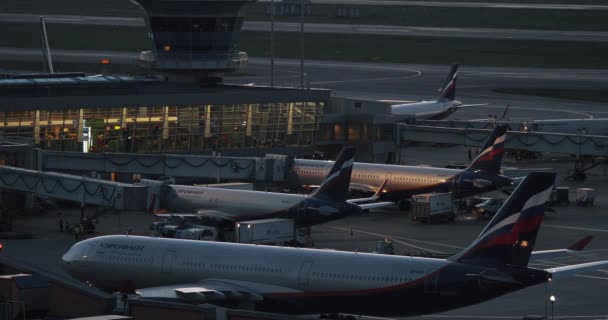 Απασχολημένοι το βράδυ στο αεροδρόμιο Sheremetyevo, Μόσχα — Αρχείο Βίντεο