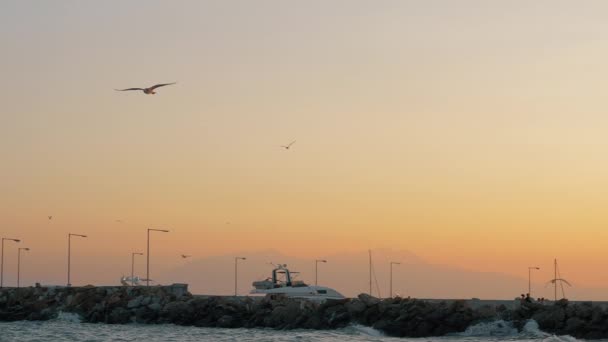 Scene with sea, quay and seagull flying in the sky at sunset — Stock Video