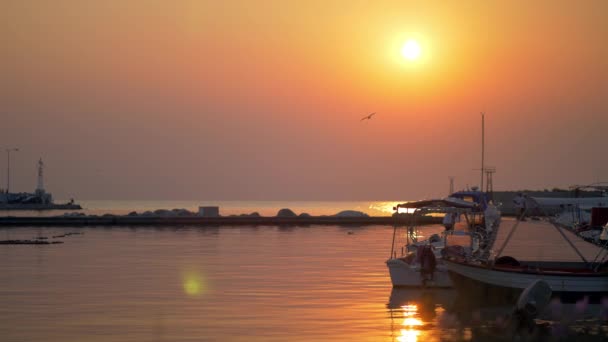 Paysage aquatique avec port et bateaux au coucher du soleil — Video