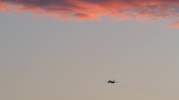 Avión volando en el cielo nocturno con nubes rojas — Vídeos de Stock