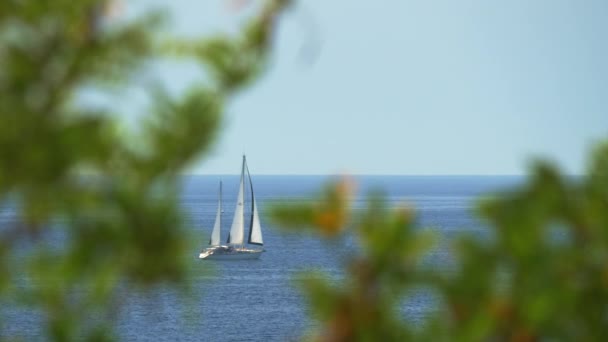 Vista através de galhos de árvores para o iate navegando no mar — Vídeo de Stock