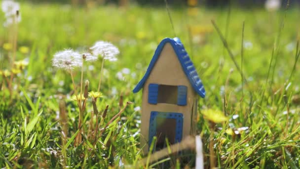 Scene with toy house in the grass representing eco-home — Stock Video