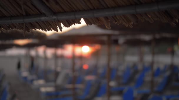 Playa con chaise longues y sombrillas de paja al atardecer — Vídeos de Stock