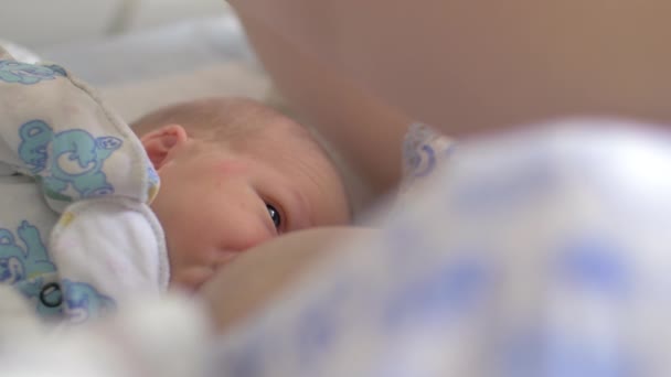 Recién nacido lactante en el hospital de maternidad — Vídeo de stock