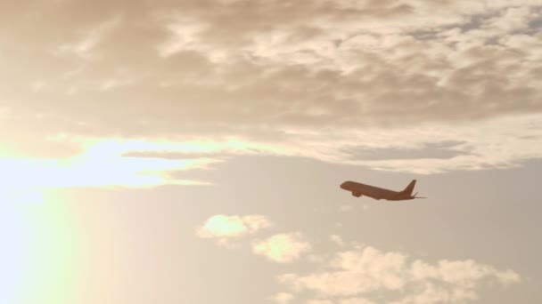 Αεροπλάνο που φέρουν υπό το πρίσμα των φωτεινό απογευματινό ήλιο — Αρχείο Βίντεο