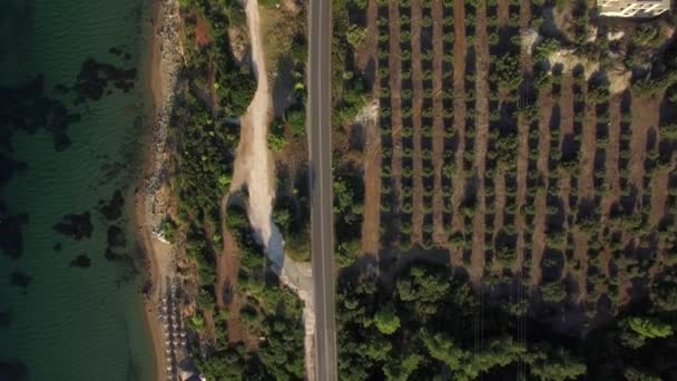 Légi felvétel a tengerpart, a zöld fák és az út mentén a vízpartra, Görögország — Stock videók