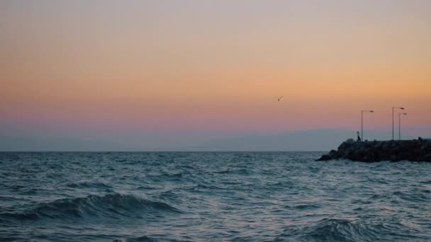 Paisagem aquática noturna com mar ondulado, cais rochoso e gaivota voadora — Vídeo de Stock