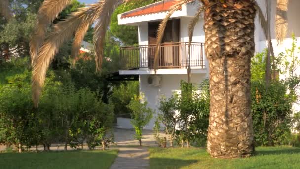 Huisje met palm tree in de tuin, zomer-scène — Stockvideo