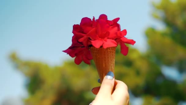 Bouquet estivo rosso nel cono delle cialde — Video Stock