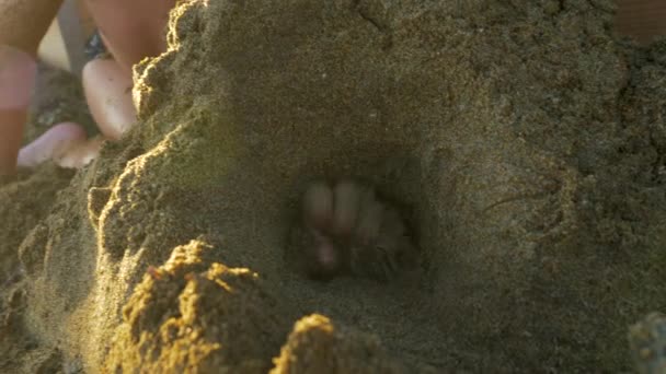 Enfant s'amuser au bord de la mer et faire un château de sable — Video