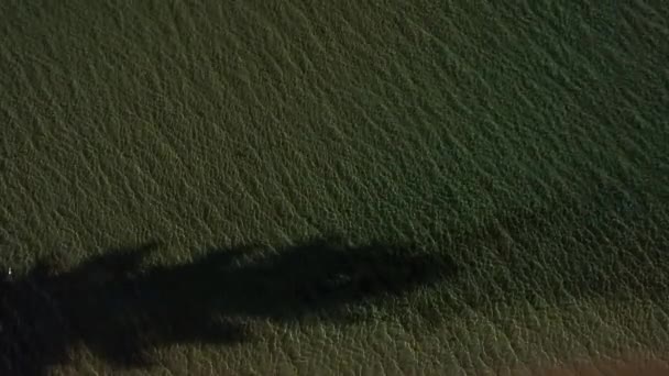 広大な海に海岸からの飛行 — ストック動画