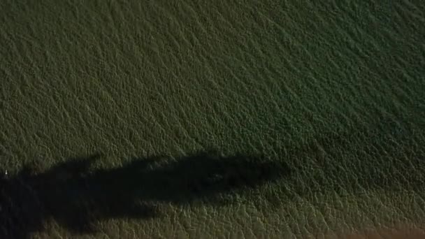 Voler d'un océan à l'autre 