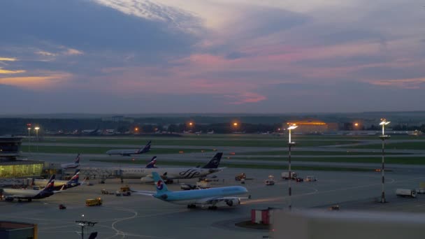 Airplanes in Terminal D of Sheremetyevo Airport, evening view. Moscow, Russia — Stock Video