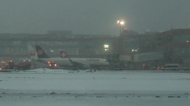 Servicing international flights at Domodedovo Airport, Moscow. Winter evening — Stock Video