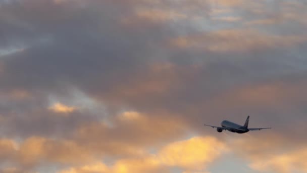 Полет самолета в облачном вечернем небе — стоковое видео