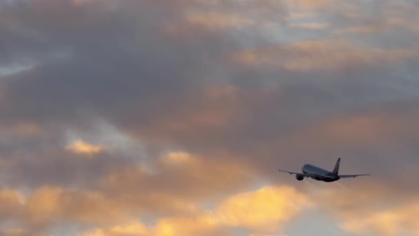 Vliegtuigvlucht in bewolkte avondlucht — Stockvideo