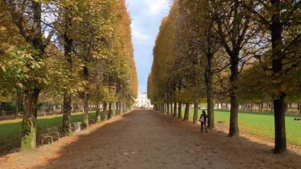 Cena de outono de árvore alinhada calçadão em Jardins do Luxemburgo, Paris — Vídeo de Stock
