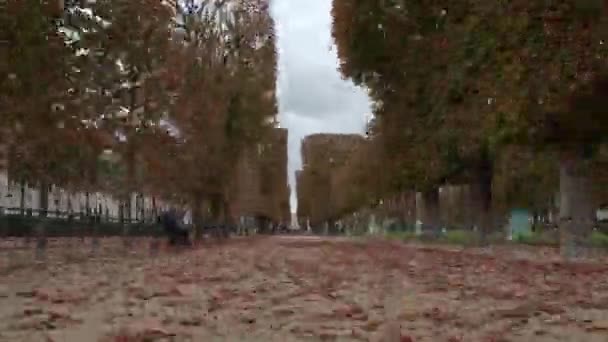 Timelapse chodzenia przez Ogrody Luksemburskie jesienią, Paryż — Wideo stockowe