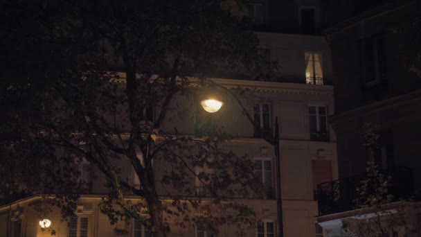 Дризинг по ночам. Осень в городе, вид на дома и наружные фонари — стоковое видео