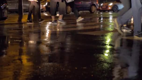 Az emberek a gyalogos crosswalk, esős éjszaka a városban. Paris, Franciaország — Stock videók