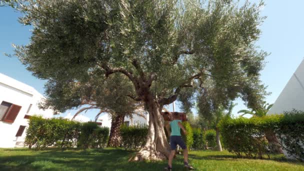 Feliz tiempo con papá. Niño jugando etiqueta con el padre en el jardín — Vídeos de Stock