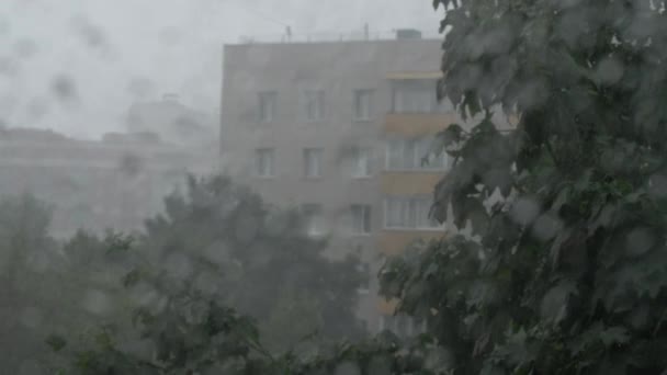 Kraftigt regn hälla utanför fönstret — Stockvideo