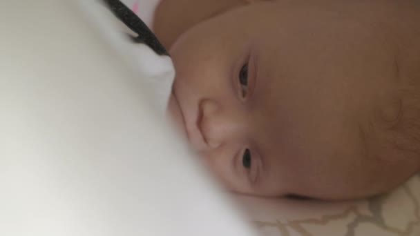 Zwei Monate Baby stillen — Stockvideo