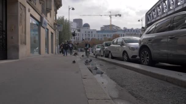 Парижская улица с пешеходными, велосипедными людьми и летающими голубями, Франция — стоковое видео