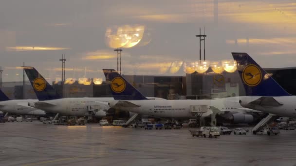 Lufthansa passenger airplanes at Charles de Gaulle Airport, France — Stock Video