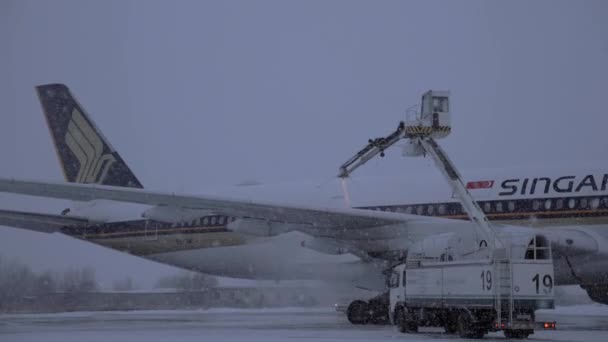 Spruzzare fluido deglassante sull'aereo di Singapore Airlines in serata nevosa — Video Stock
