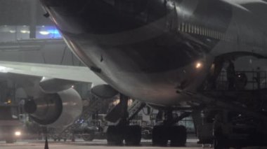 Thai Airways uçak boş olacak. Domodedovo Havaalanı'nda kış gecesi