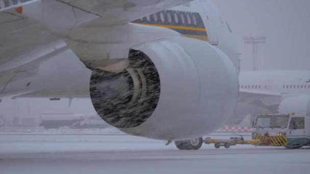 Empujando el avión, ventisca afuera. Aeropuerto de Domodedovo, Moscú — Vídeos de Stock