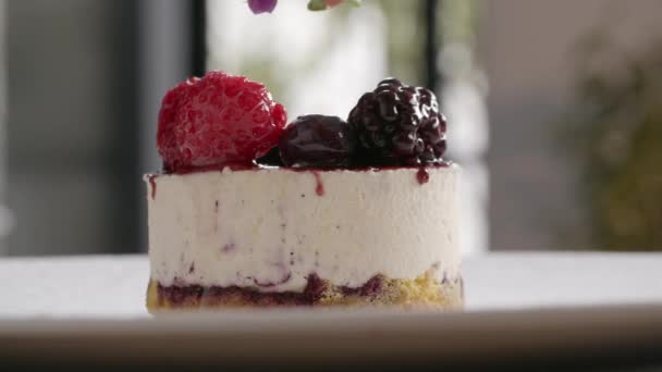 Der letzte Schliff an Eiskuchen mit Beeren — Stockvideo