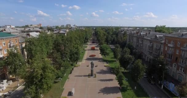 Εναέρια σκηνή της ρωσικής πόλης με διάδρομο, πολυκατοικίες και χώρους πρασίνου — Αρχείο Βίντεο