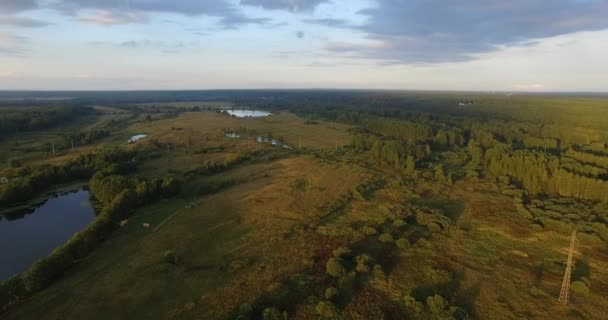 Une vue aérienne de paysages pittoresques avec des champs verts et des forêts contre le ciel bleu 