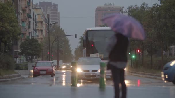 Brutta serata piovosa. Vista strada con traffico e donna sotto l'ombrello — Video Stock