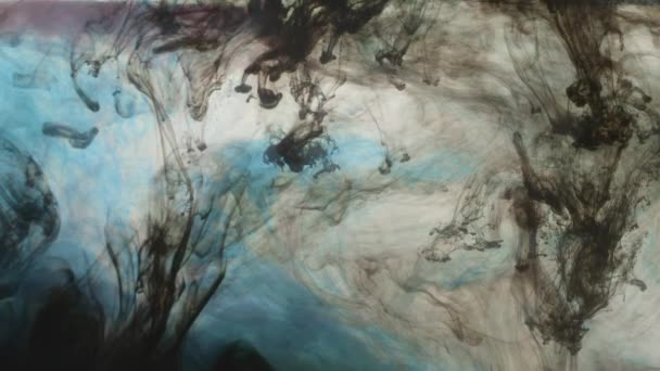 En langsom bevægelse af blå og sorte malinger smukt sløring i vandet – Stock-video
