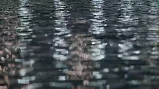 밤에 반사되는 빛으로 수면에 떠 있는 물 — 비디오