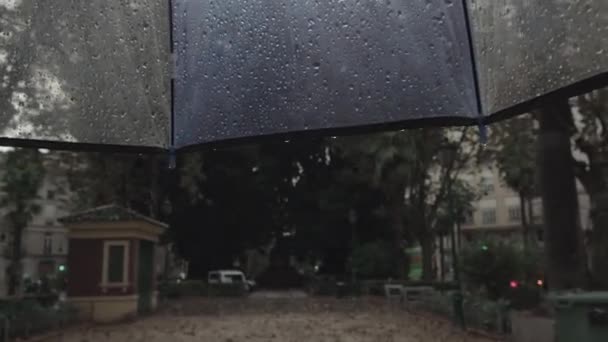 Walking outdoors in rainy weather, view from under umbrella — Stock Video