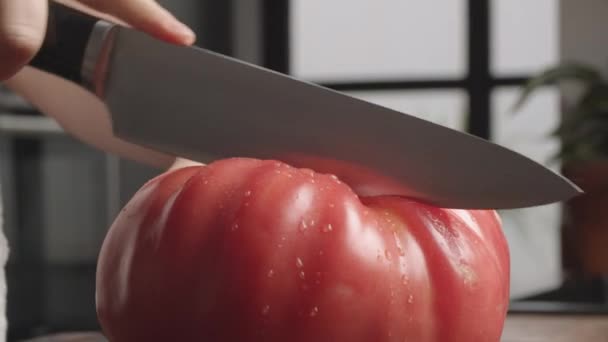 Cutting big juicy tomato — Stock Video