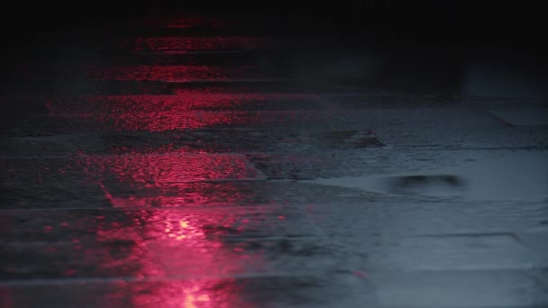 湿沥青上反光的红绿灯 — 图库视频影像