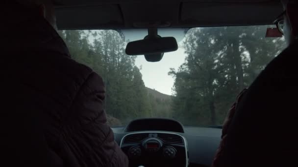 Conduire parmi les bois de conifères dans les montagnes — Video