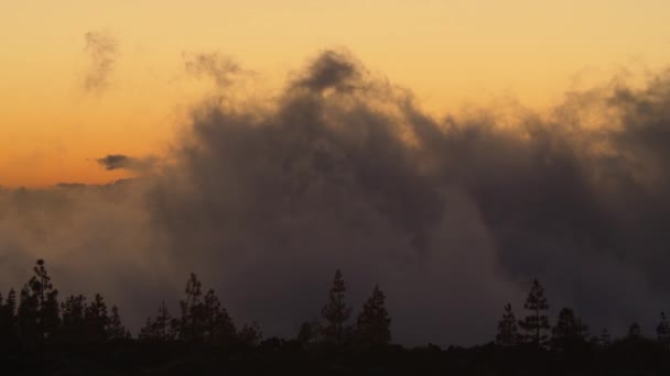 Face to face with clouds — Stok video