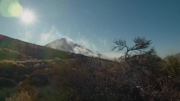 Nature scene with highland road and bright sunshine on Tenerife — Stok video