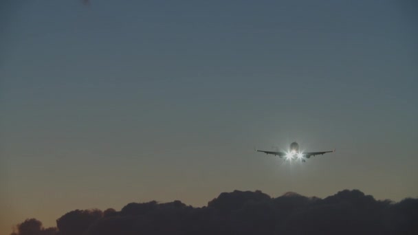 Plane flight over the clouds in evening sky — Wideo stockowe