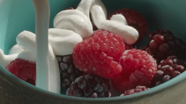 Raspberries with cream — Stock Video
